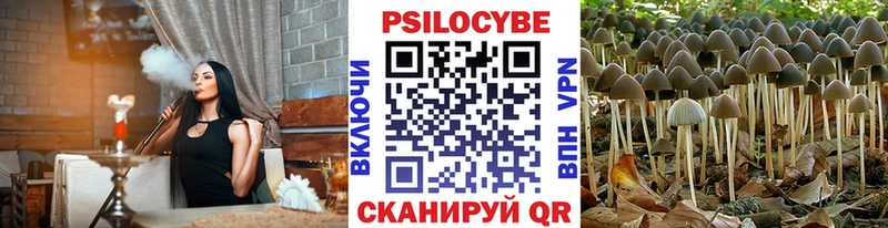 Купить где  Макаров  Псилоцибиновые грибы Magic Shrooms 