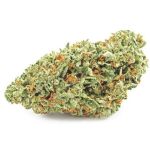 Шишки OG Kush  (Гидропоника, бошки) VHQ в Макарове